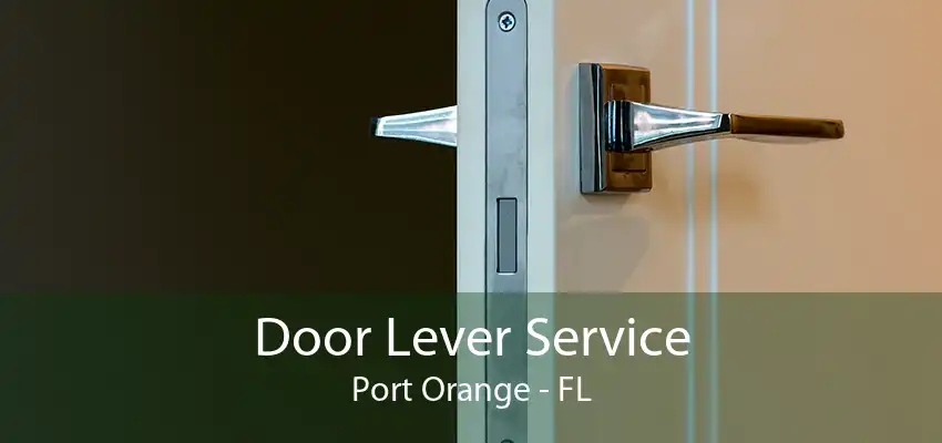 Door Lever Service Port Orange - FL